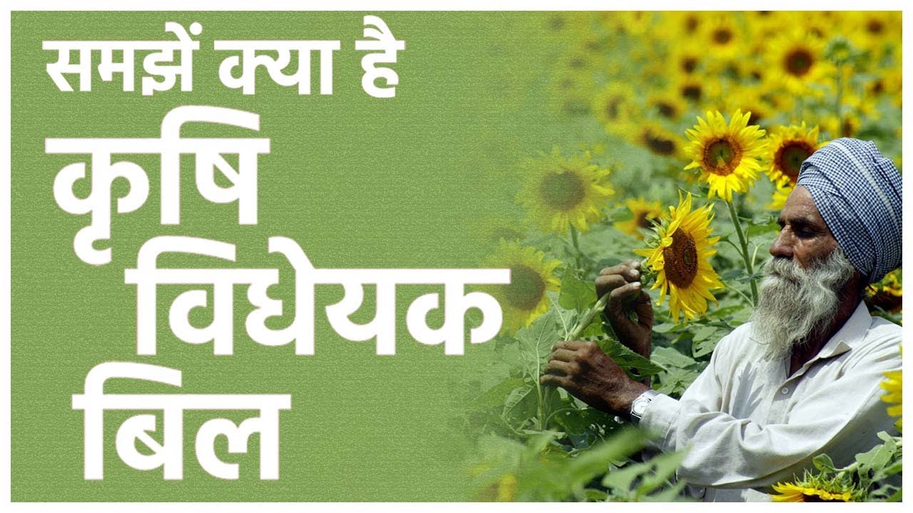 Farm Bills 2020 Explained: Rajya Sabha में दो कृषि बिल पास, समझें क्या हैं ये बिल