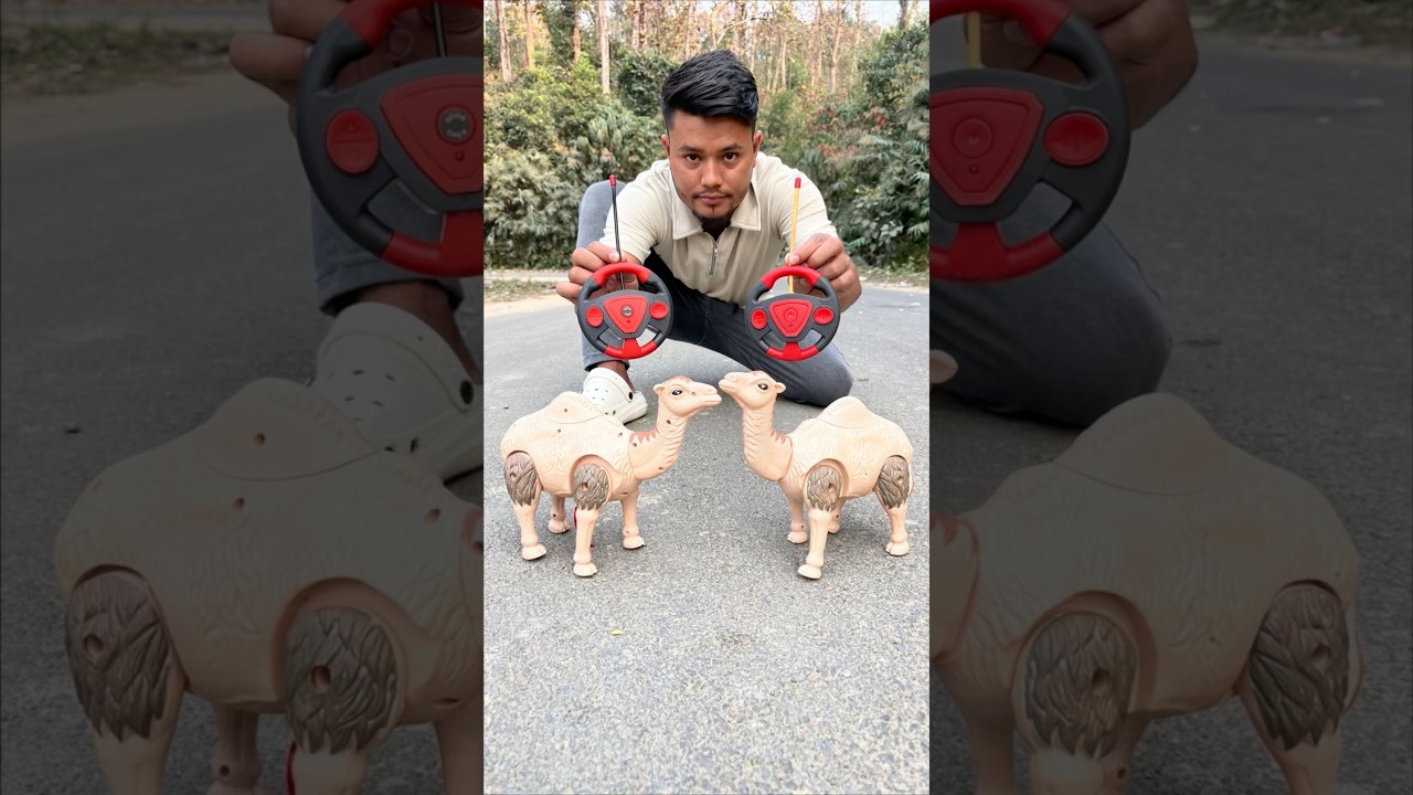 2 RC Camel Toy Remote Control Unboxing 😍