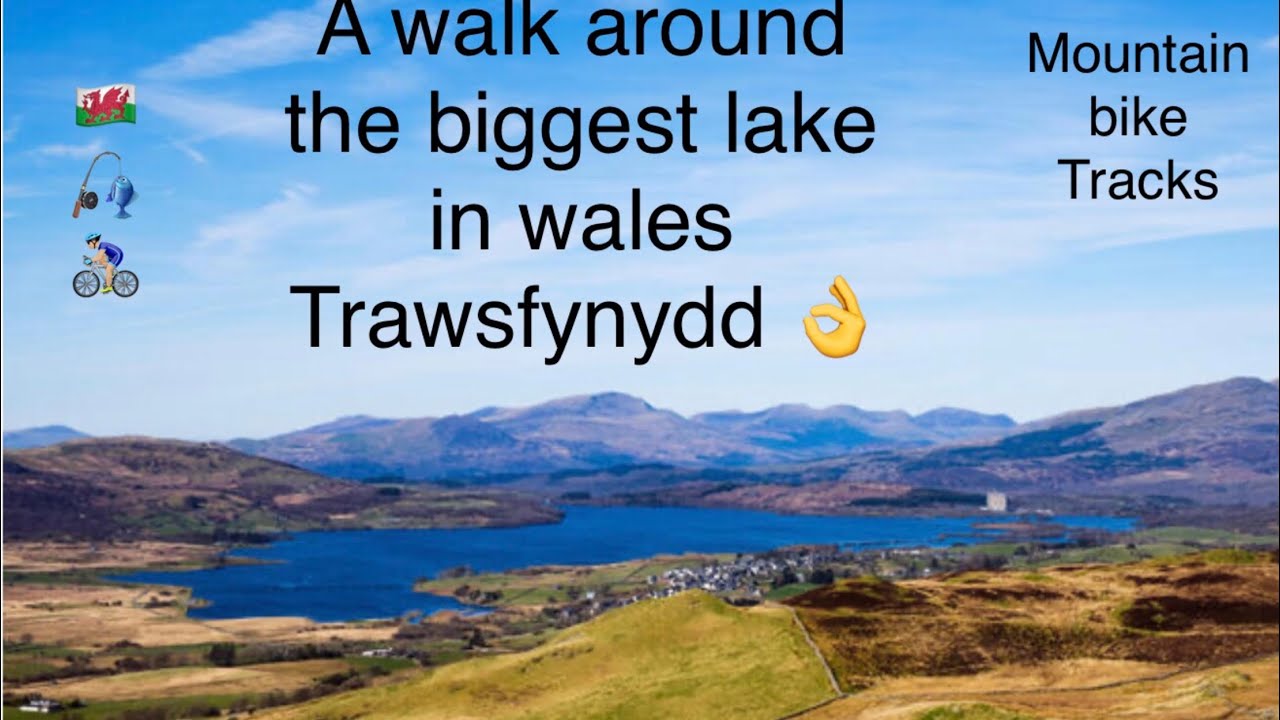 HIKING BIGGEST LAKE IN WALES with my patterdale terrier - trawsfynydd - nutall terrier
