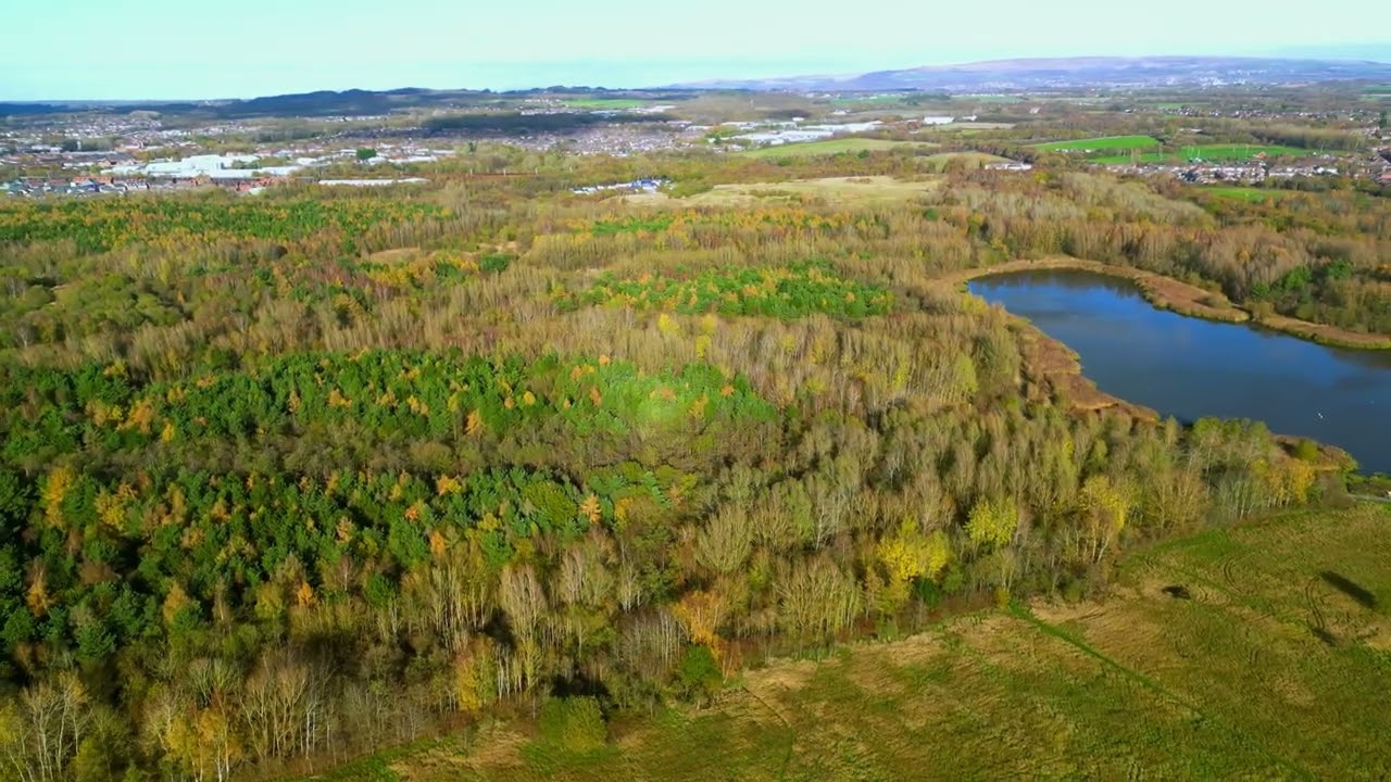 Amberswood Nature Reserve - 16.11.2025