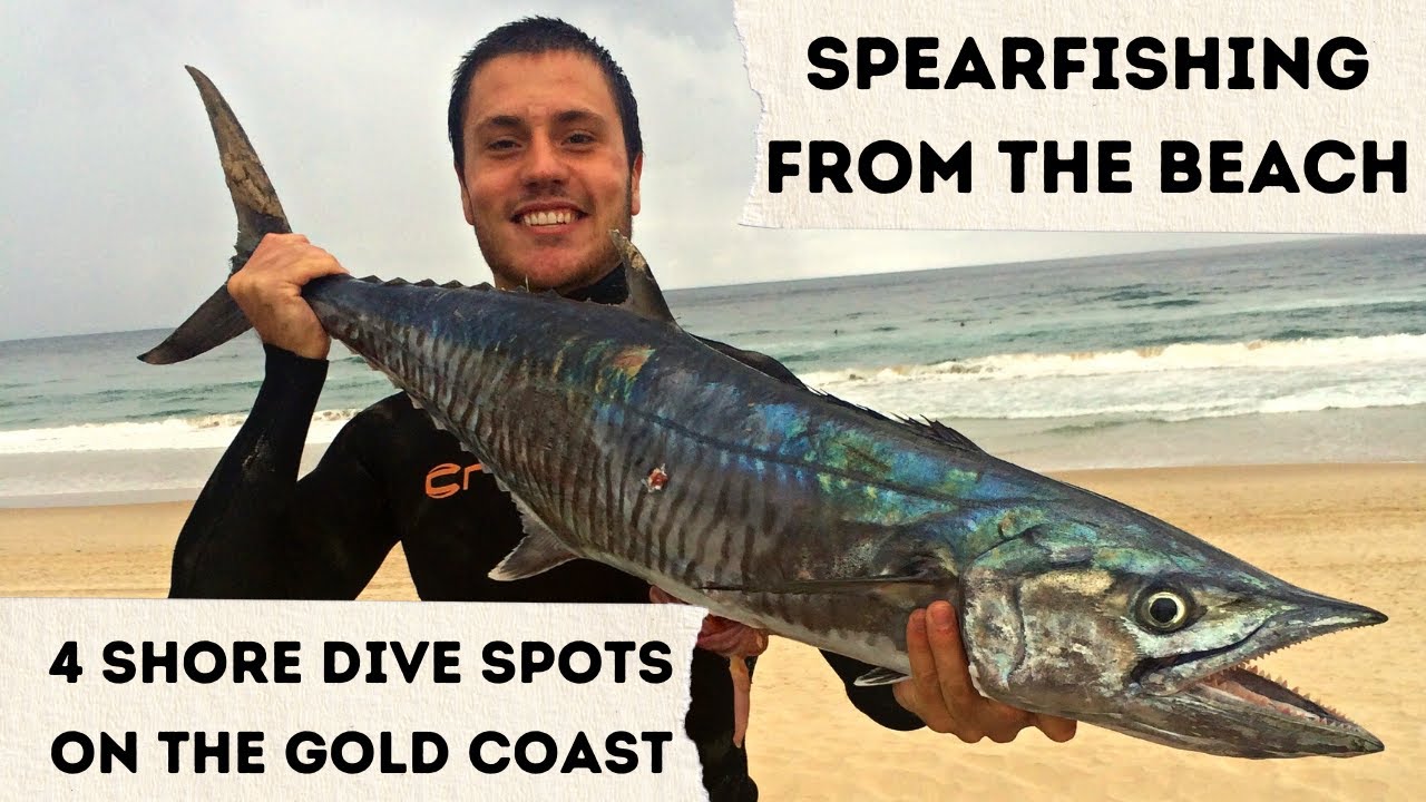 4 Spearfishing Spots to Shore Dive on the Gold Coast, QLD Australia