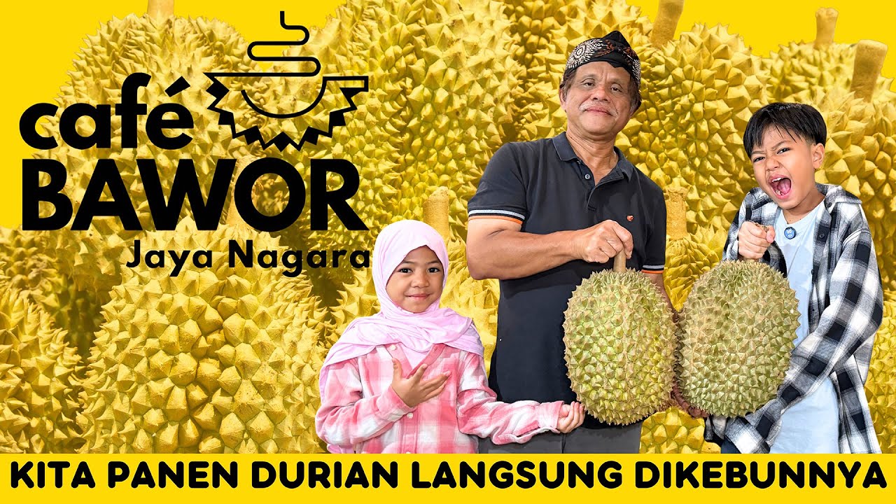 025 | WOW! DURIANNYA BESAR BANGET! 😱 Panen Buah Enak di Cafe Bawor Jaya Negara Bogor