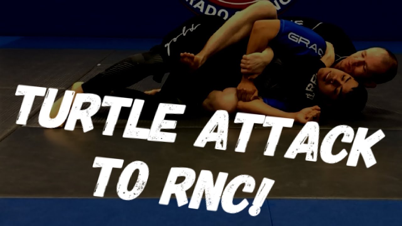 Turtle Attack To RNC (Rear Naked Choke) for NoGi Jiujitsu