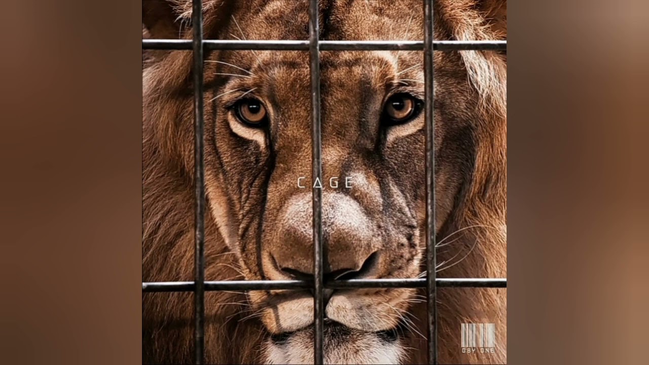 Oby One - Cage ( version skyrock )