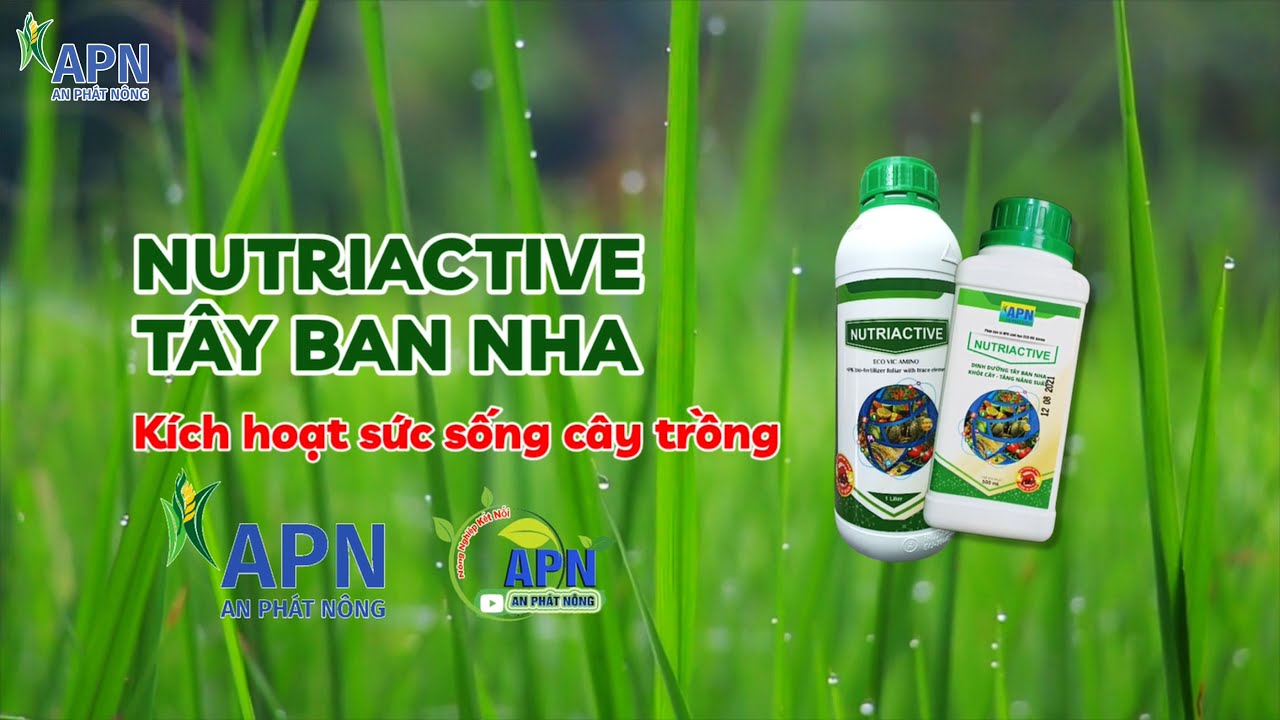 APN - NHỰA SỐNG C&Acirc;Y TRỒNG NUTRIACTIVE - DINH DƯỠNG T&Acirc;Y BAN NHA #anphatnong