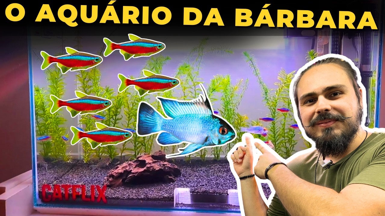 🔴O AQUÁRIO DE NEONS E RAMIREZI DA BÁRBARA |Mr. Betta|