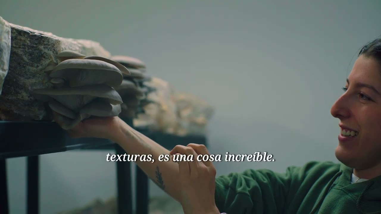𝐒𝐞𝐫𝐢𝐞 𝐝𝐞 𝐩𝐫𝐨𝐯𝐞𝐞𝐝𝐨𝐫𝐞𝐬: 𝐒𝐞𝐭𝐚𝐬 𝐝𝐞𝐥 𝐒𝐢𝐬𝐠𝐚