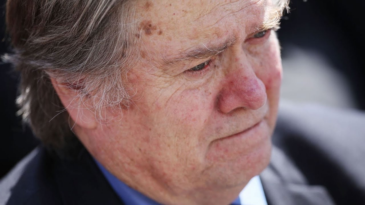 Steve Bannon: Republicans Want To Nullify The 2016 Election