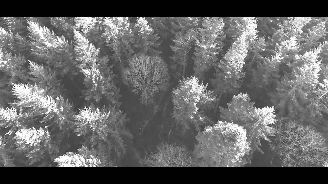 Parisian - Strangers in Love [Official Lyric Video]