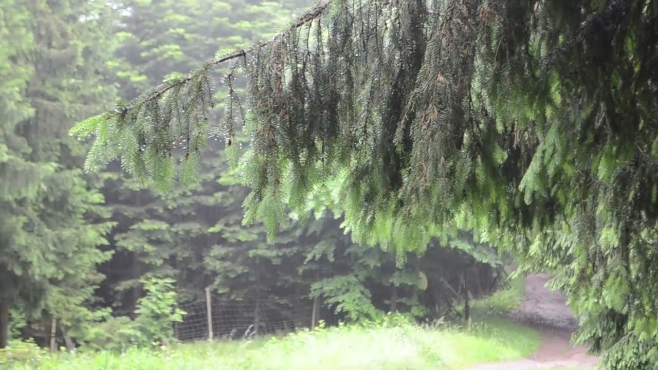 Wandern in Thüringen Teil 2~