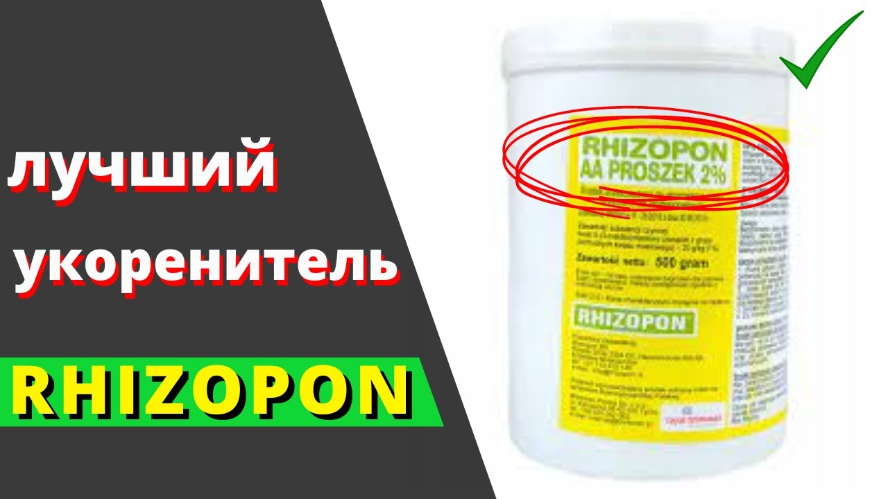 Лучший УКОРЕНИТЕЛЬ - Ризопон \ Rhizopon - Для хвойных декоративных растений.