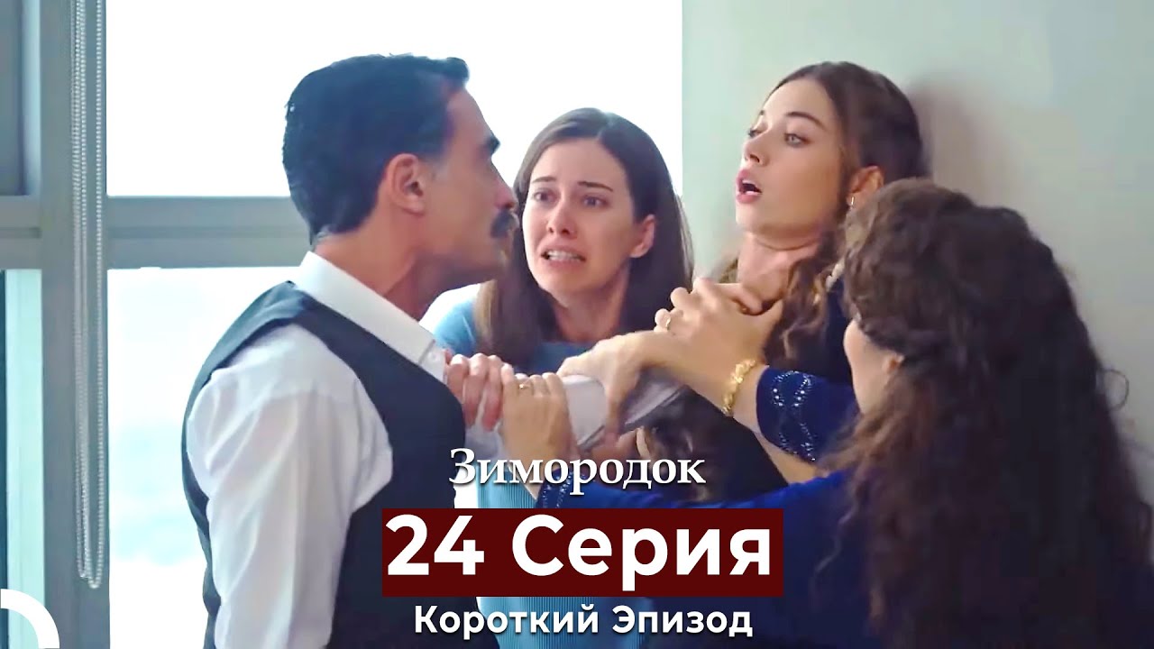 Зимородок 24 Cерия (Короткий Эпизод) (Русский дубляж)