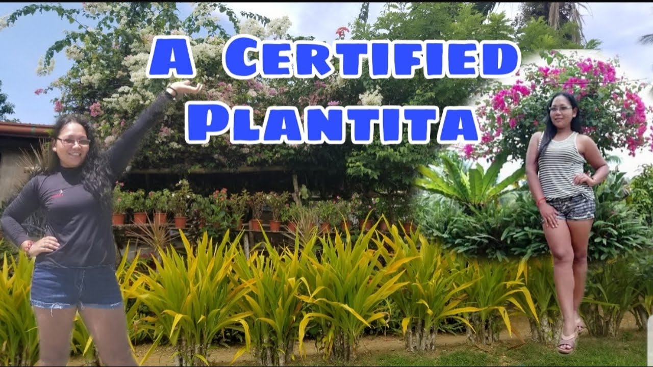 Province Life: A Certified Plantita + Simple Life in Cebu Philippines