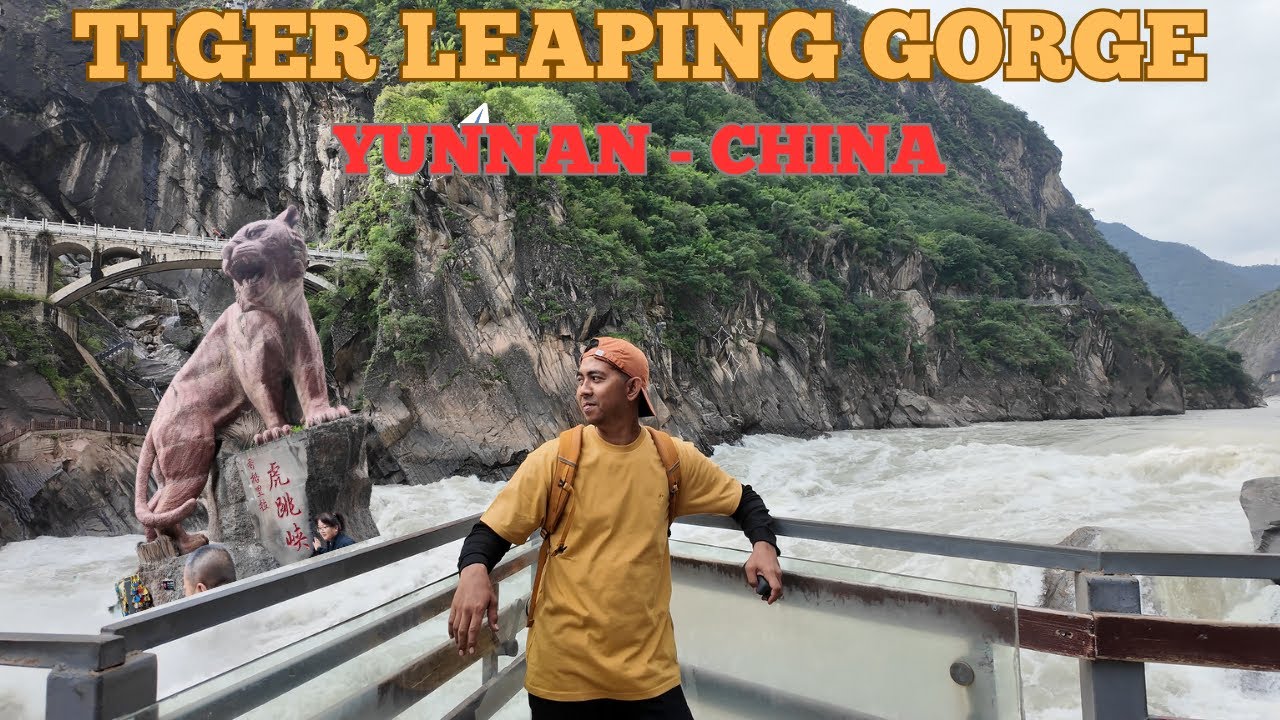 Part 10 : Tiger Leaping Gorge🥰  Kisah  seekor harimau yang sedang berjuang melawan pemburu 😥😥