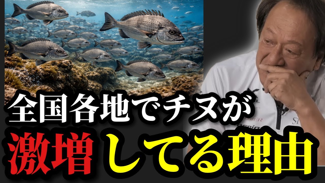 【村田基】※全国でチヌが激増している※【村田基切り抜き】