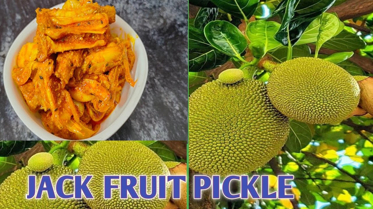 Kathal ka Achar Recipe ! Jack fruit pickle Recipe ! Spicy & Tasty Pickle | Homemade jackfruit pickle