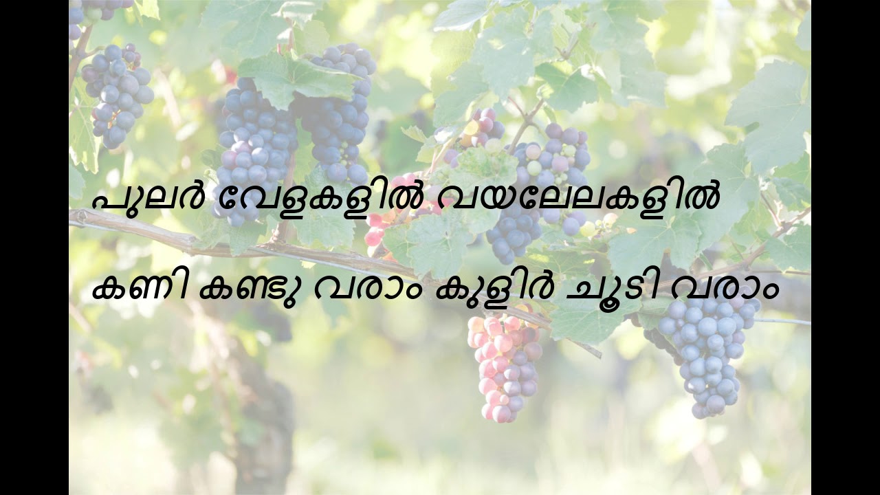 pavizham pol, Namukku Paarkkaan Munthirithoppukal (1986), yesudas, with lyrics, in hq