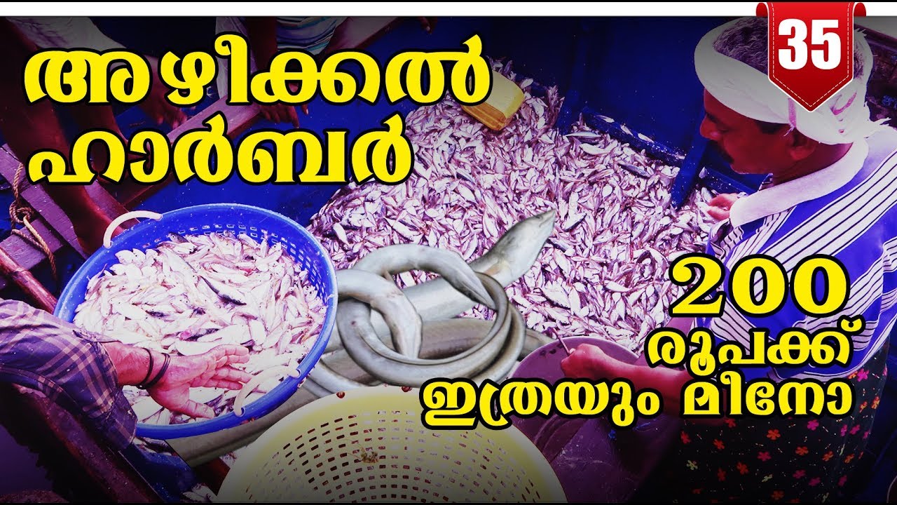 Azheekal Fishing Harbour | Kerala Fising Harbour  | അഴീക്കൽ ഹാർബർ