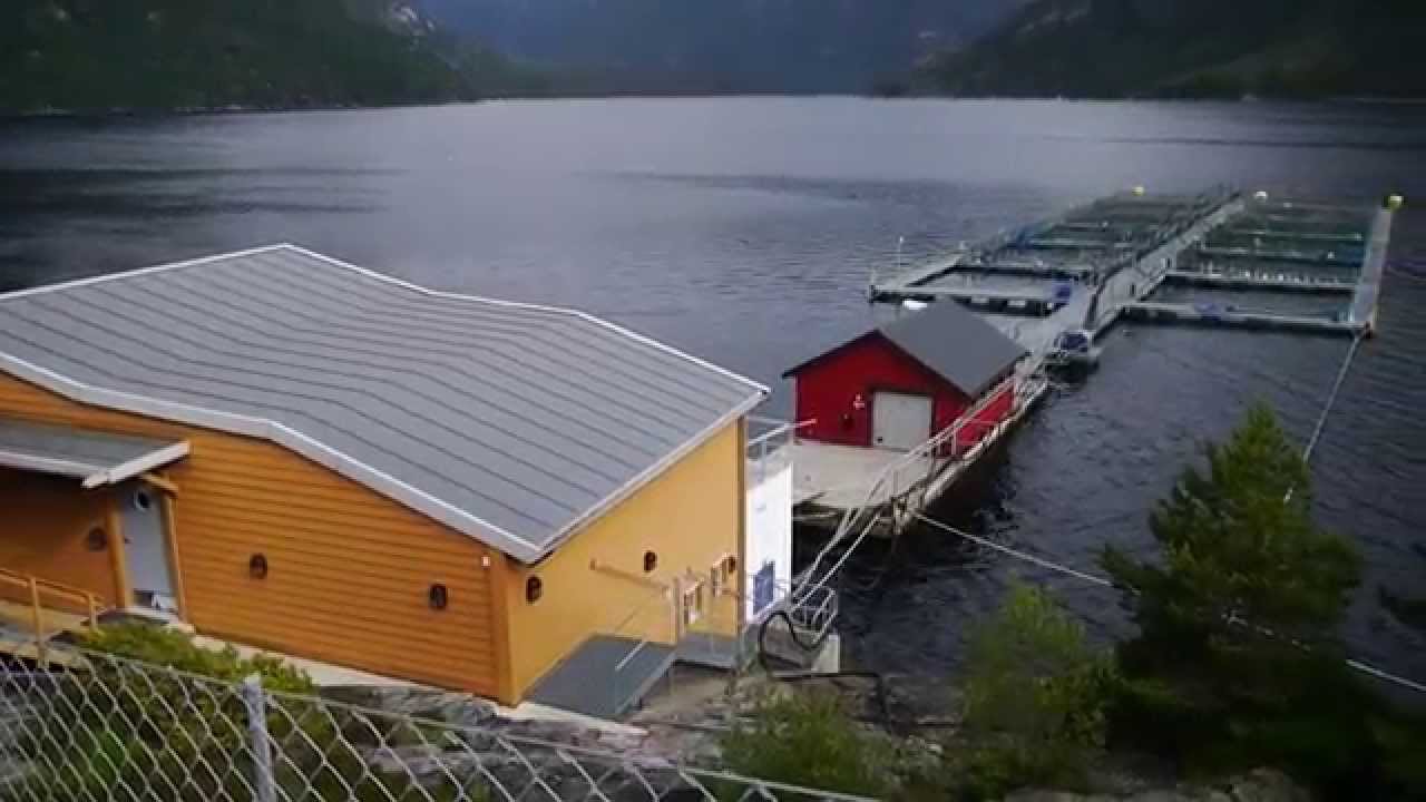 Voile en Norvège. ( Superbe ! )