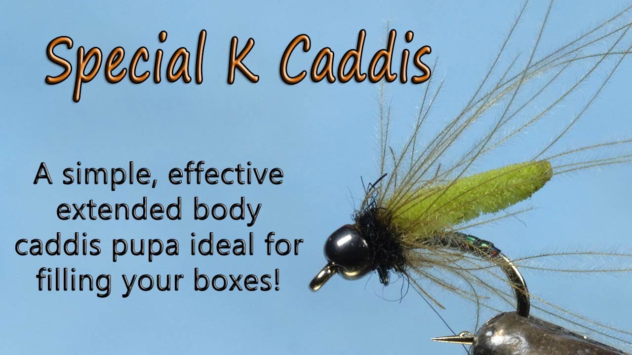Special K Caddis - A Simple Caddis Pupa for Filling Your Boxes