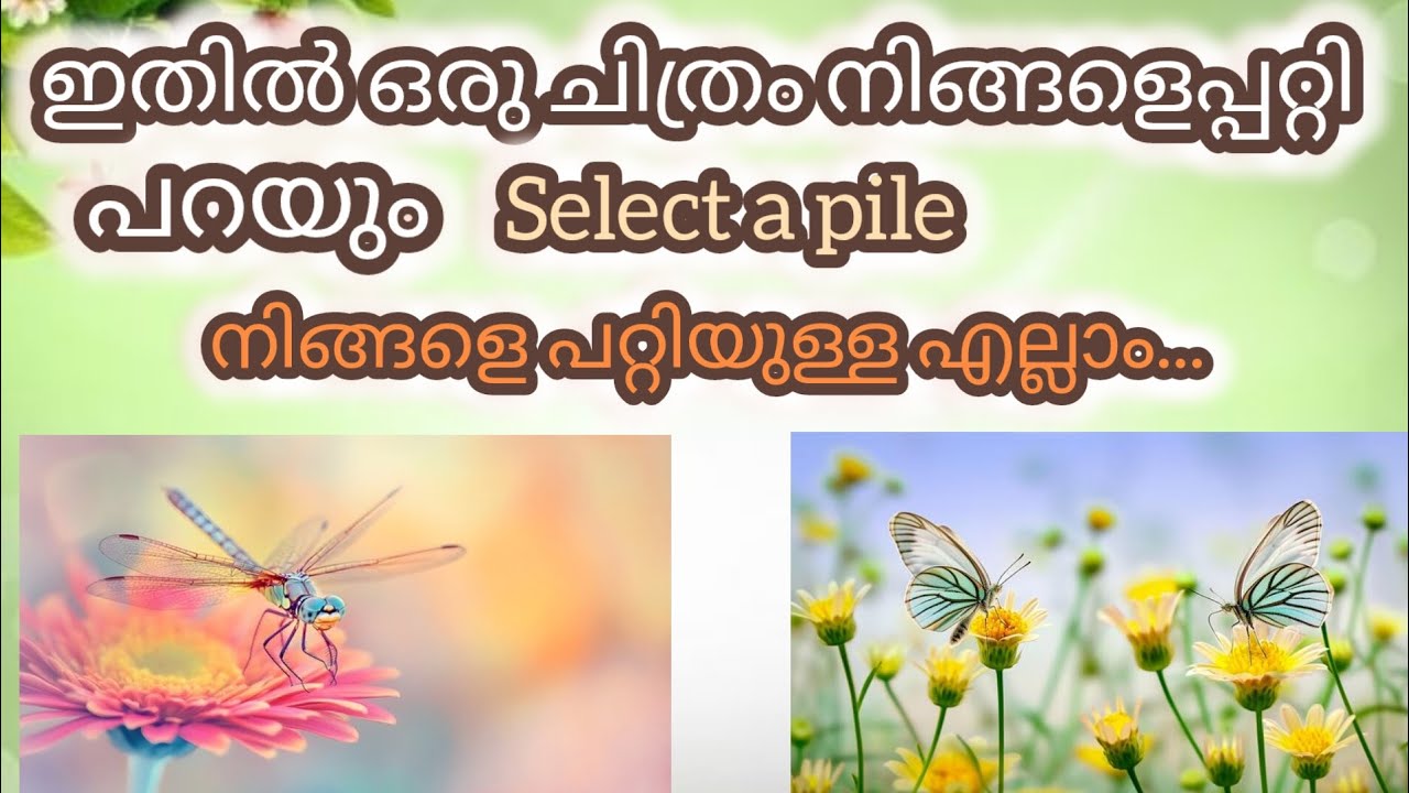 നിങ്ങൾക് നിങ്ങളെ പറ്റി കൂടുതൽ അറിയണോ?