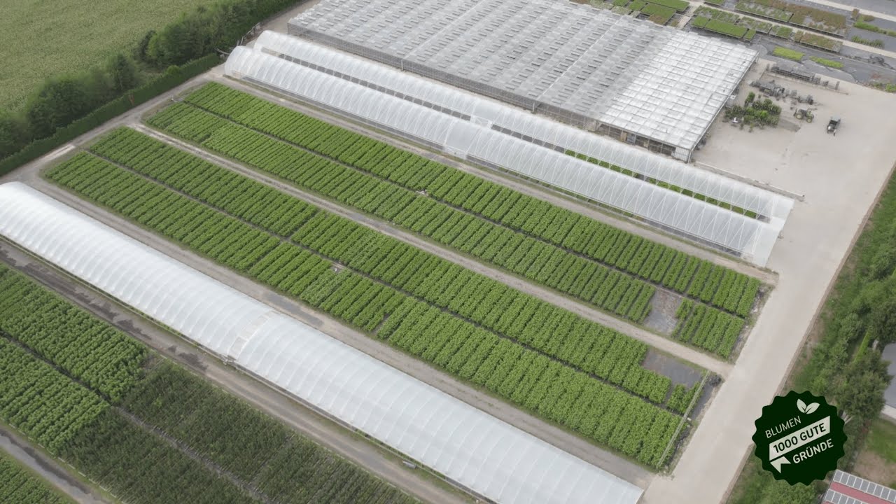 Erzeugerstory Bio Baumschule Geers | 1000 gute Gründe für Blumen