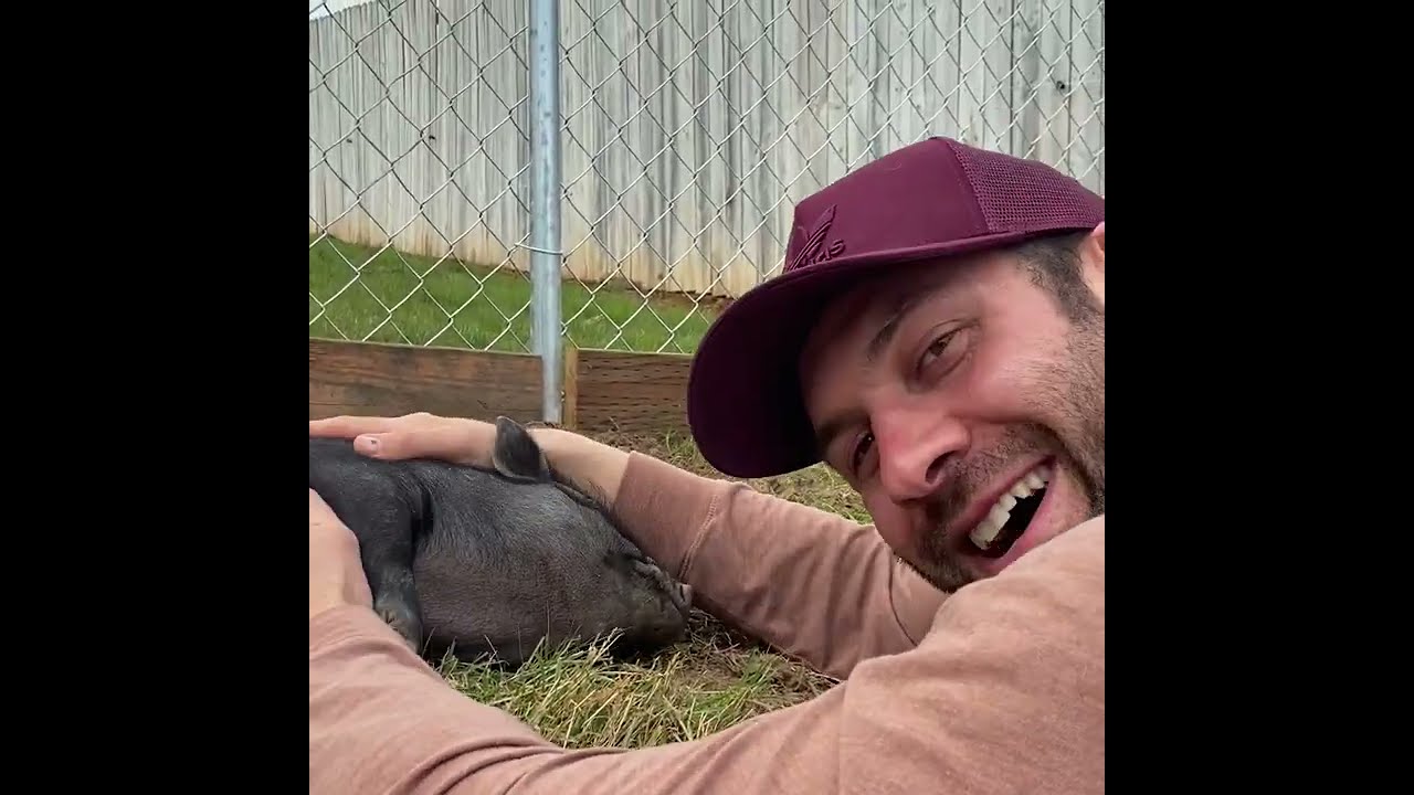 Piggies Are Getting So Big - The Asher House