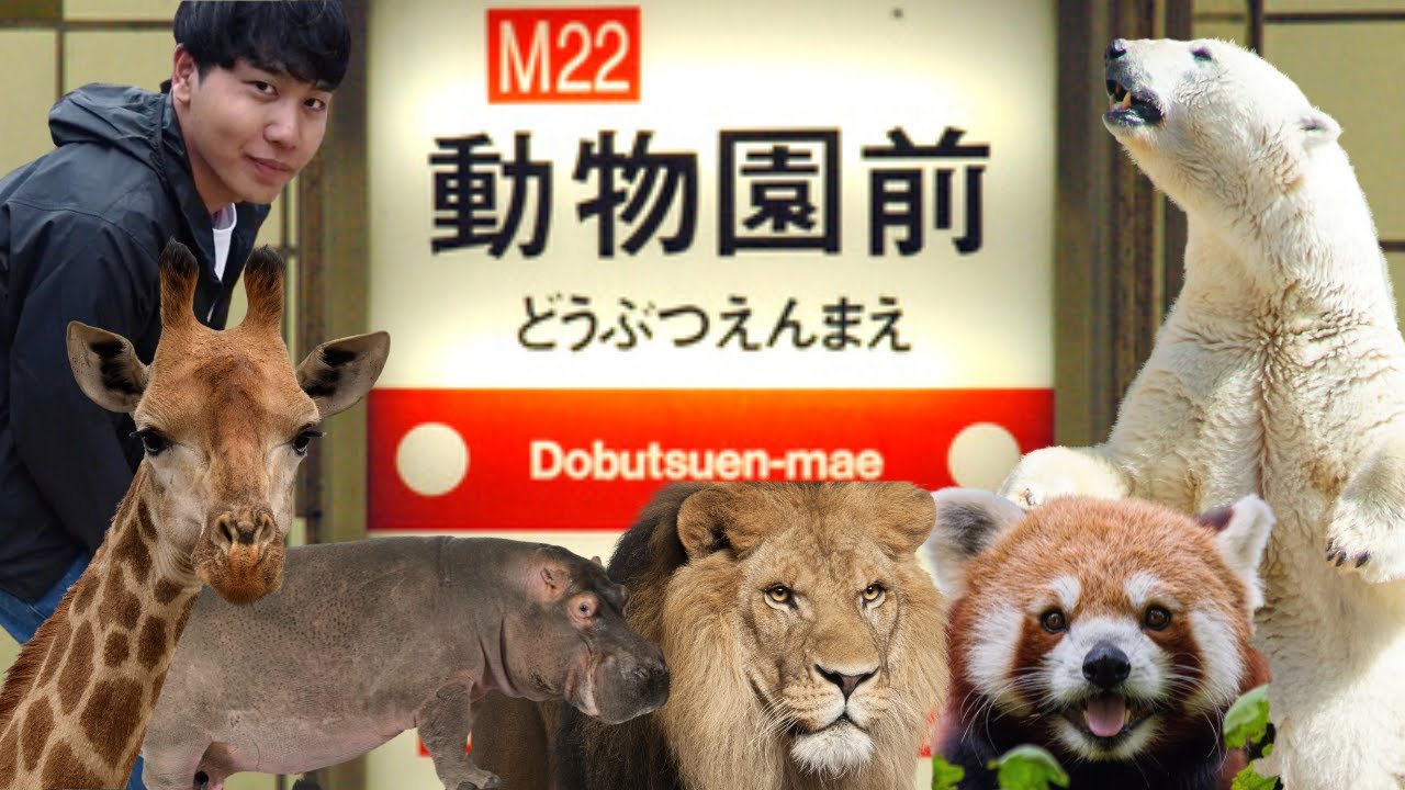 【爆笑】都会っ子な動物たちの心の声を聞いてみたら｜天王寺動物園