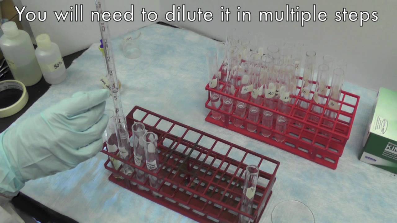 Phenol-Sulfuric Acid Method for Carbohydrates