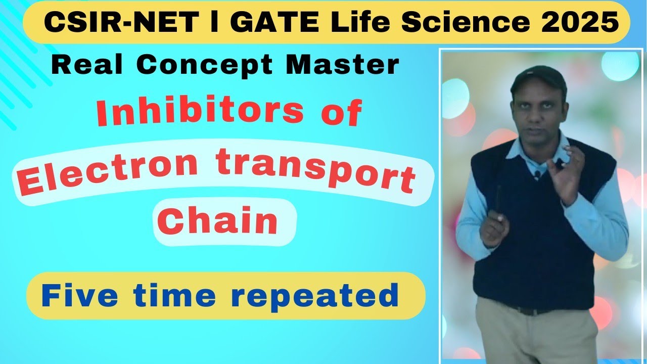 E.T.S  inhibitor | inhibitors of ets  | Krabes Cycle inhibitor #csirnetlifescience #gatelifesciences