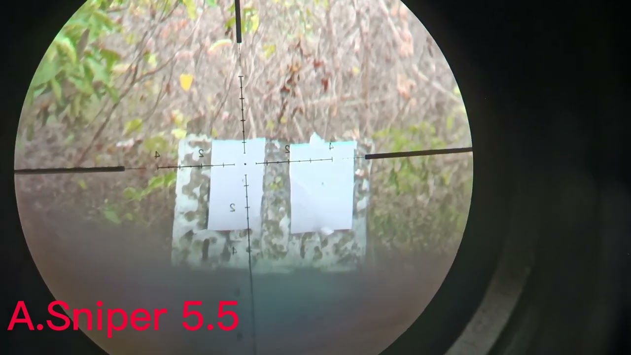 carabina PCP P10 chumbinho Rifle Dome Regulagem na Luneta BSA 4x16x44 FFP