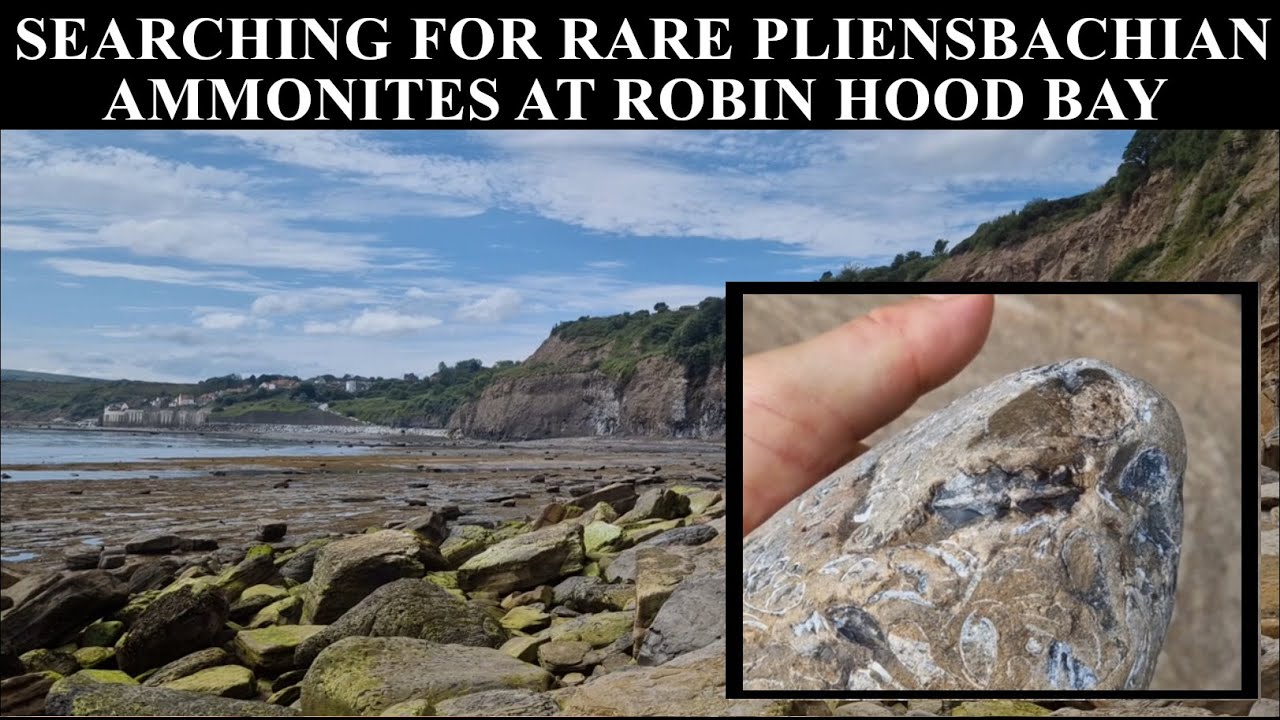 Searching out rare PLIENSBACHIAN fossils at Robin Hood Bay, Yorkshire