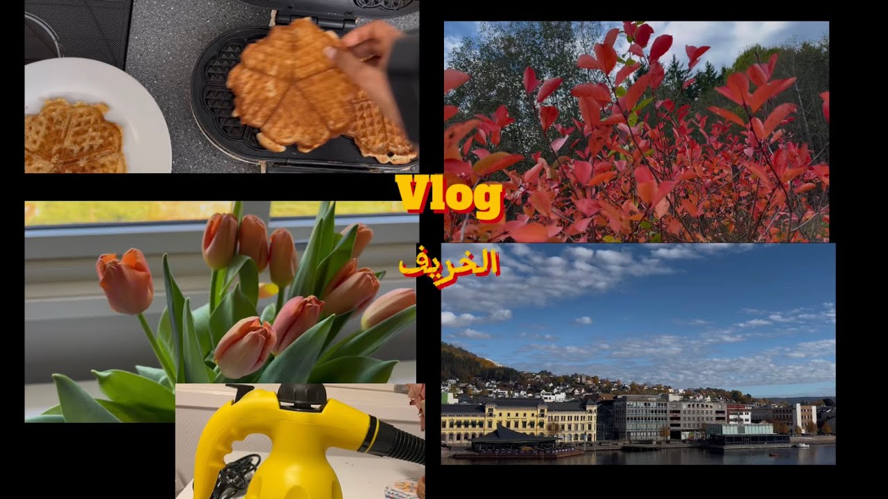 @Ahlami8875 # أجواء الخريف🍁unboxing TEMU🧇