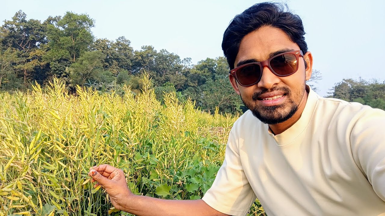 দেখুন নদীর তীরবর্তী স্থানে গ্রামীণ জীবনধারা || YouTube video vlog || Anjon Hasan 