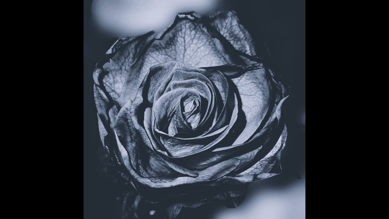 Still here (by you, by heart and truth)
