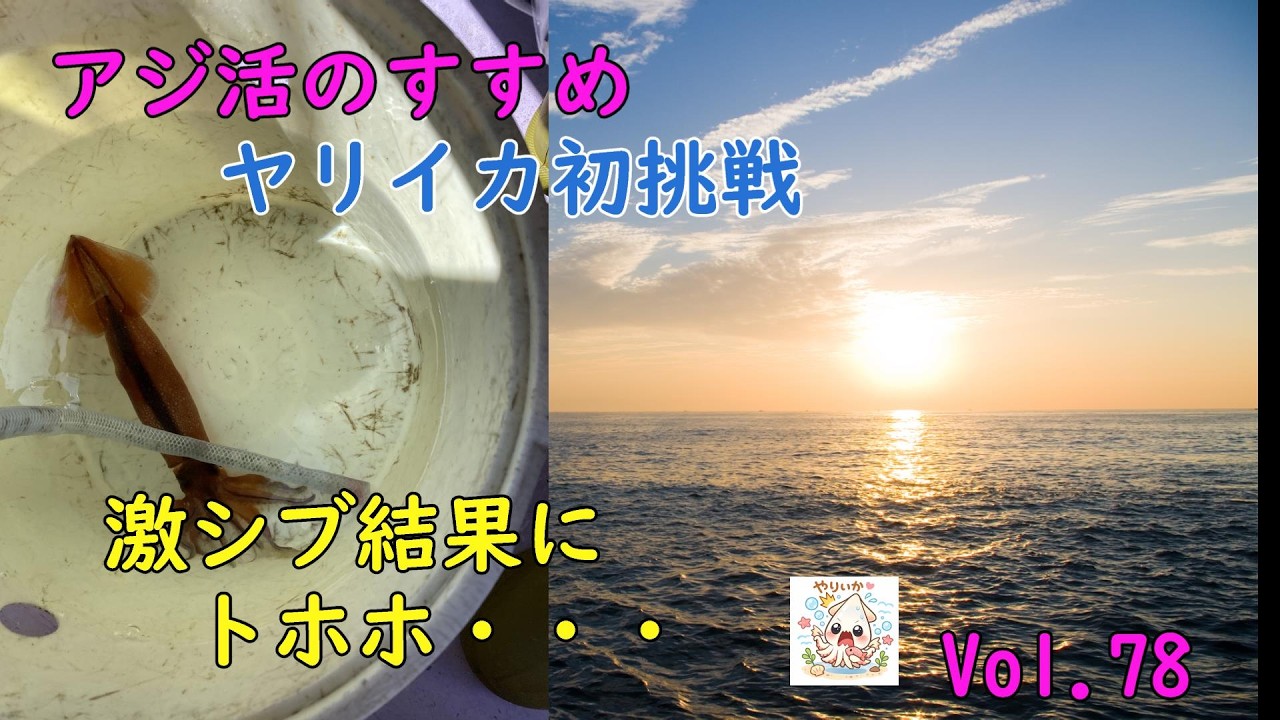 アジ活のすすめVol.78（ヤリイカ）