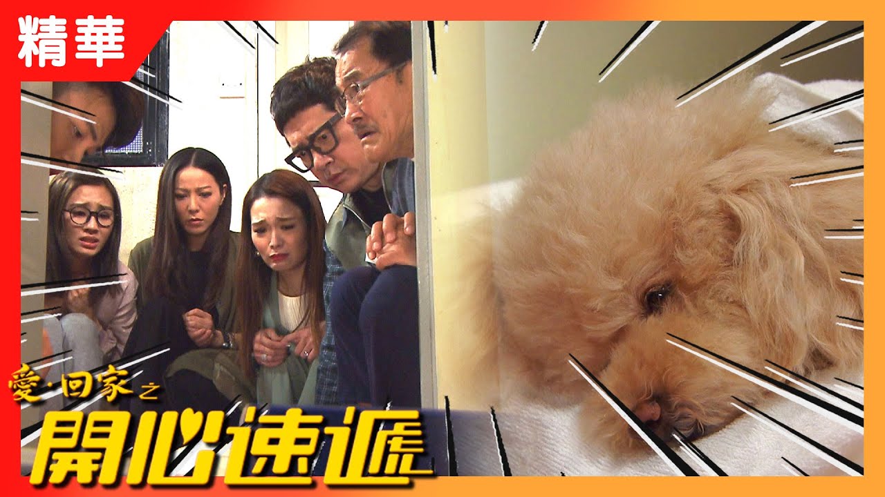 愛回家之開心速遞精華 | 我們與啤啤說再見