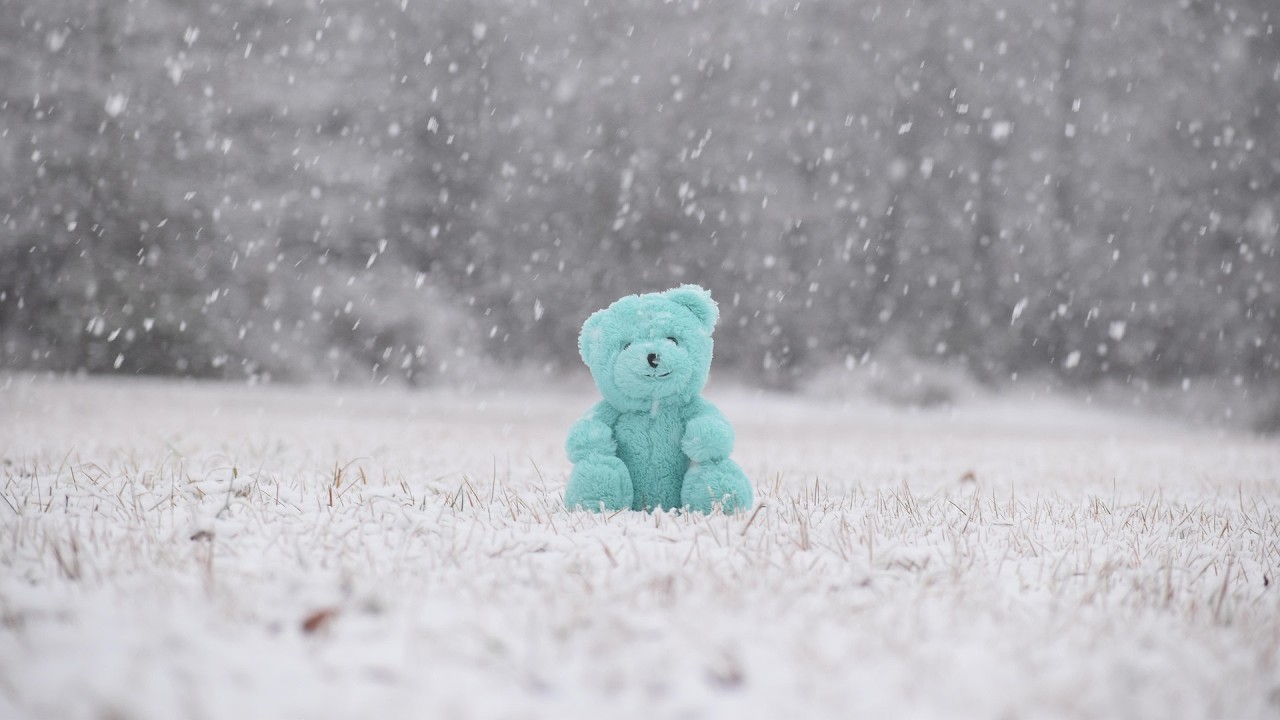 Frozen Blizzard Wind - Icy Winter Sounds for Deep Rest (30 Minutes)