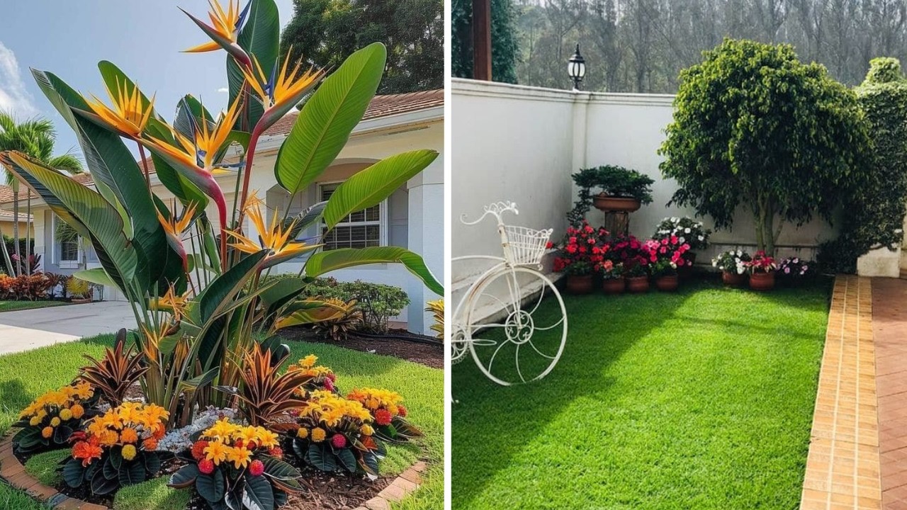 249 iDEAS bellas de PLANTAS PARA PATIOS que le darán un toque colorido y linda decoración a tu hogar