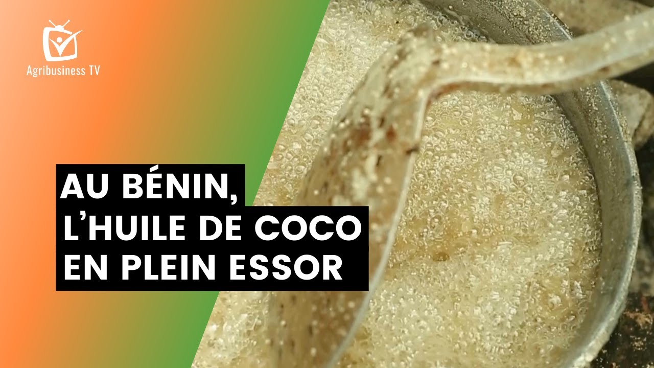 Au Bénin, l’huile de coco en plein essor