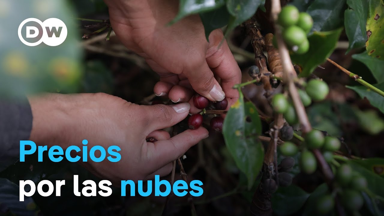 El caf&eacute; en Colombia vive su mejor momento