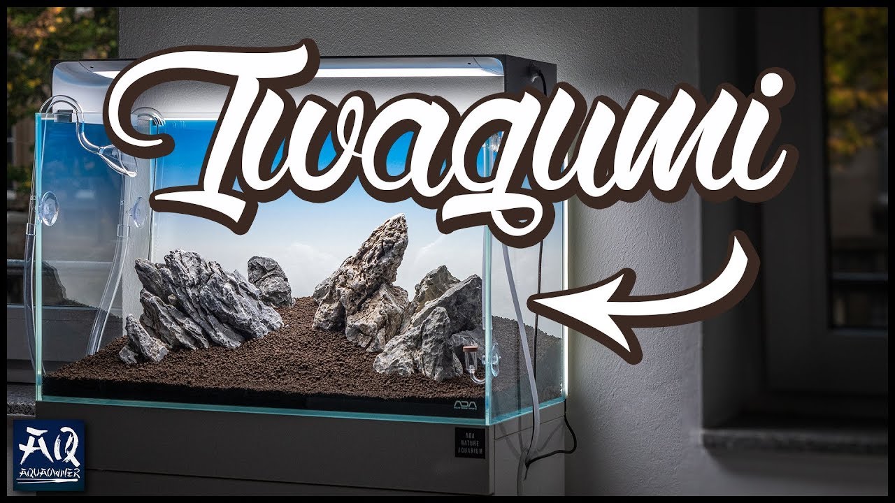 60cm Aquarium Tutorial | AquaOwner