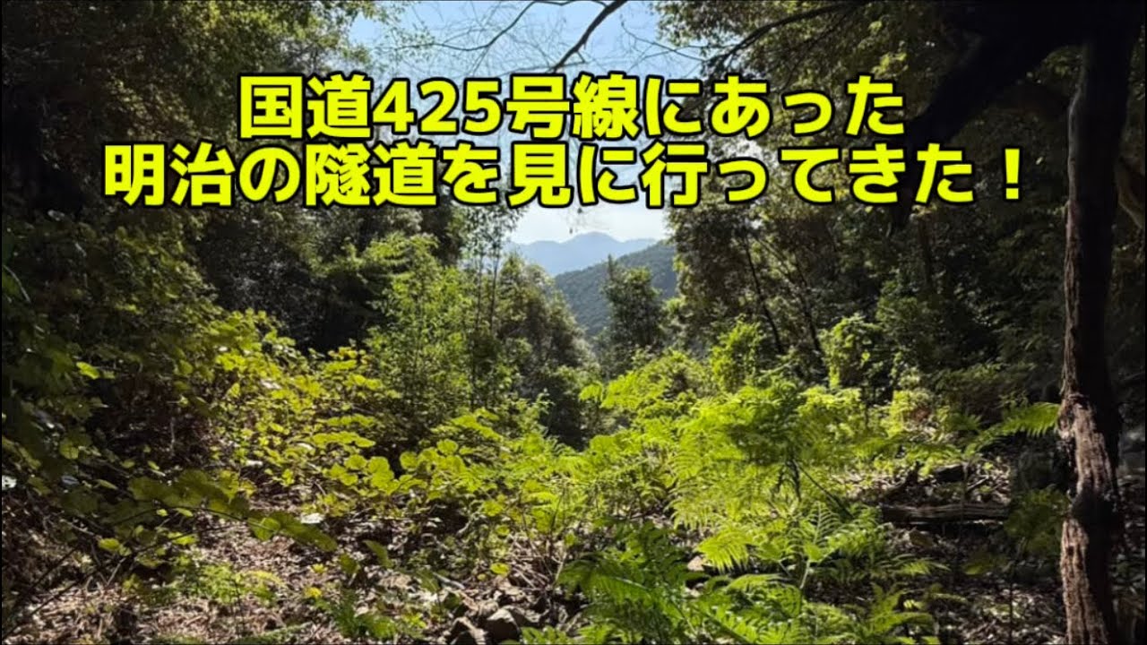 国道425号線にあった明治の隧道を見に行ってきた！