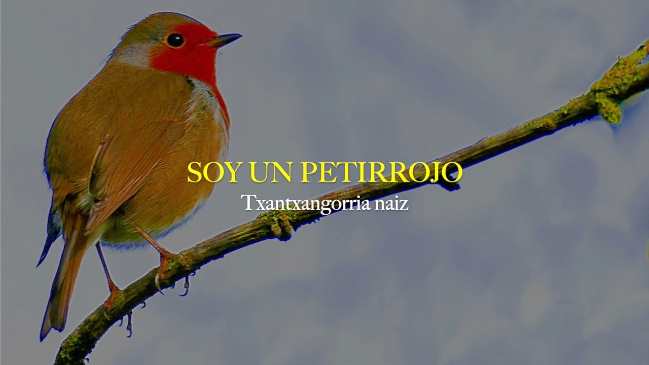 Itoiz  - Hegal Egiten || Sub. Euskera/ Espa&ntilde;ol + LYRICS (Basque/Spanish)