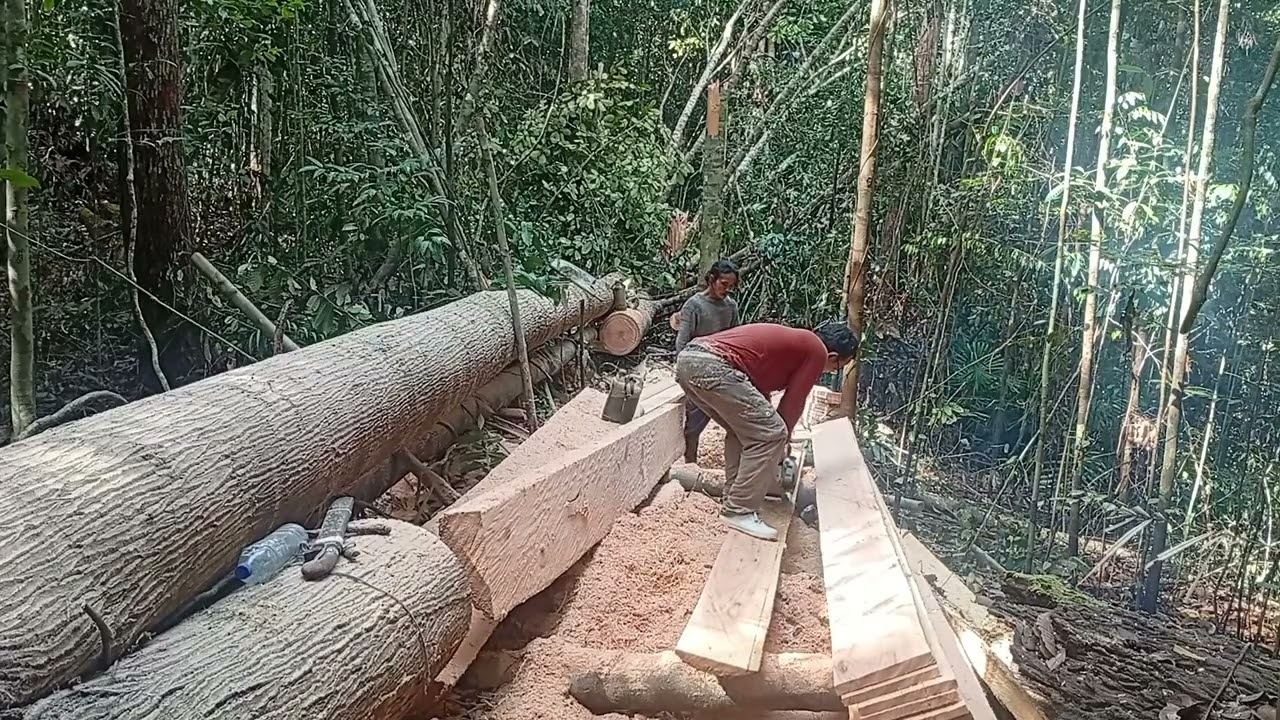 MAAF SUHU, BARU BELAJAR MENGGERGAJI