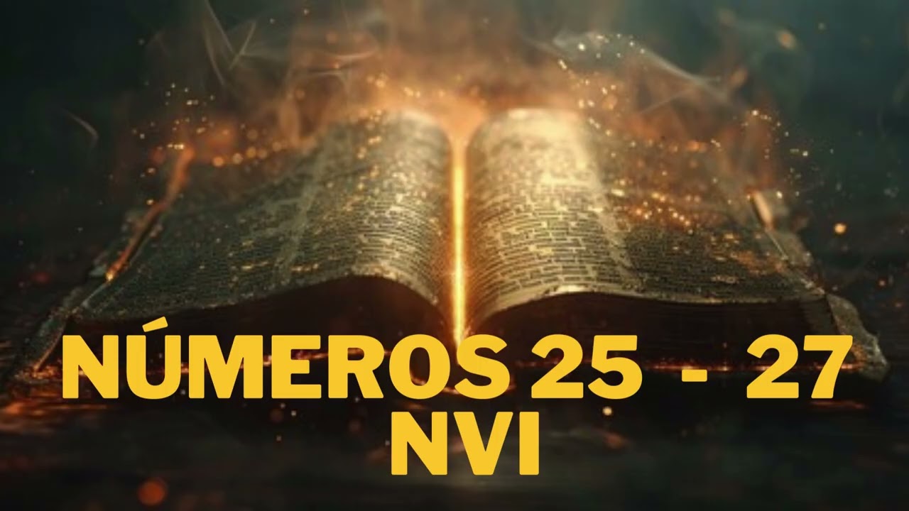 Números 25  -  27