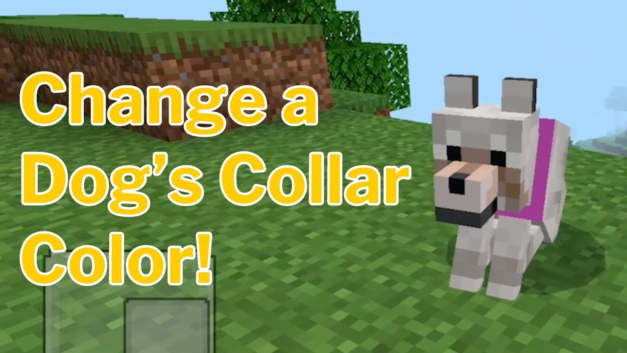 Change a Dog's COLLAR COLOR- Minecraft