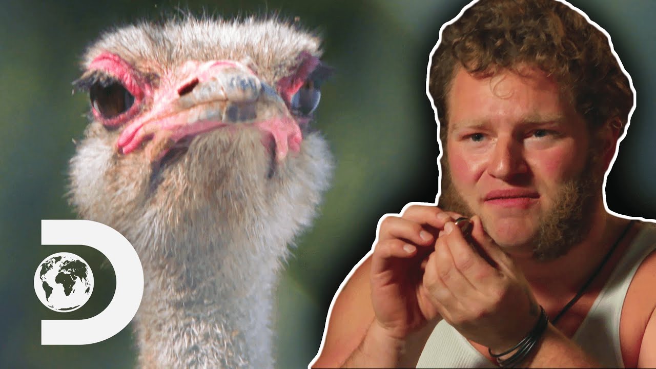 Gabe Loses His Wedding Ring After Fighting An Ostrich | Alaskan Bush People