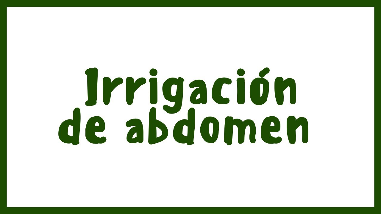 ANATOMIA | Irrigación del Abdomen | Blasto Med