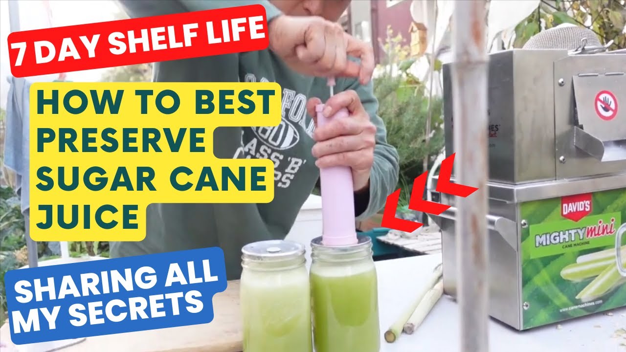How to Preserve Sugar Cane Juice So It has a 7 Day Shelf Life